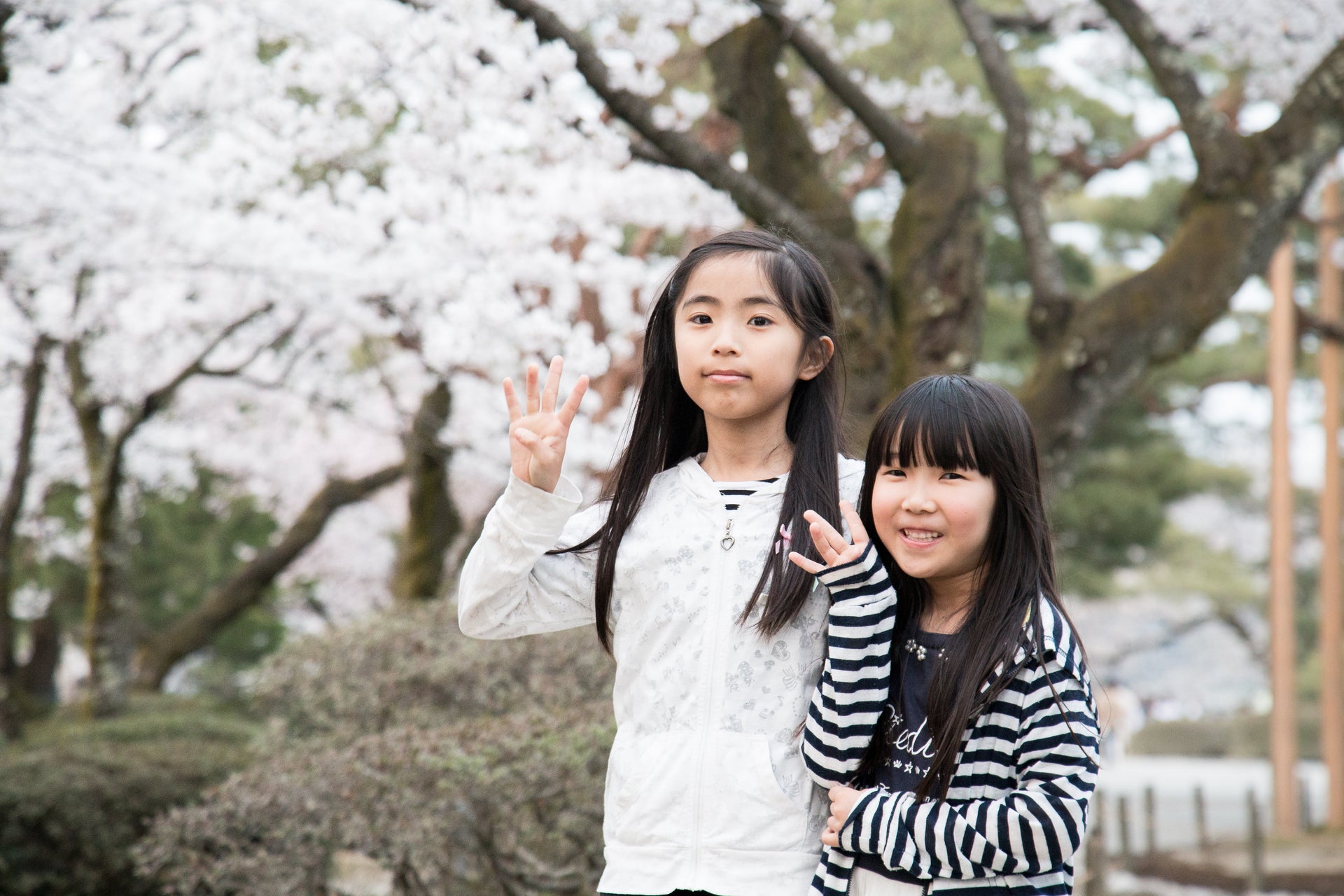 Adopted Chinese Girls, Asian American Experience